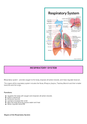 [Solved] 6 Pulse locations Select all that applies 3 Points Please