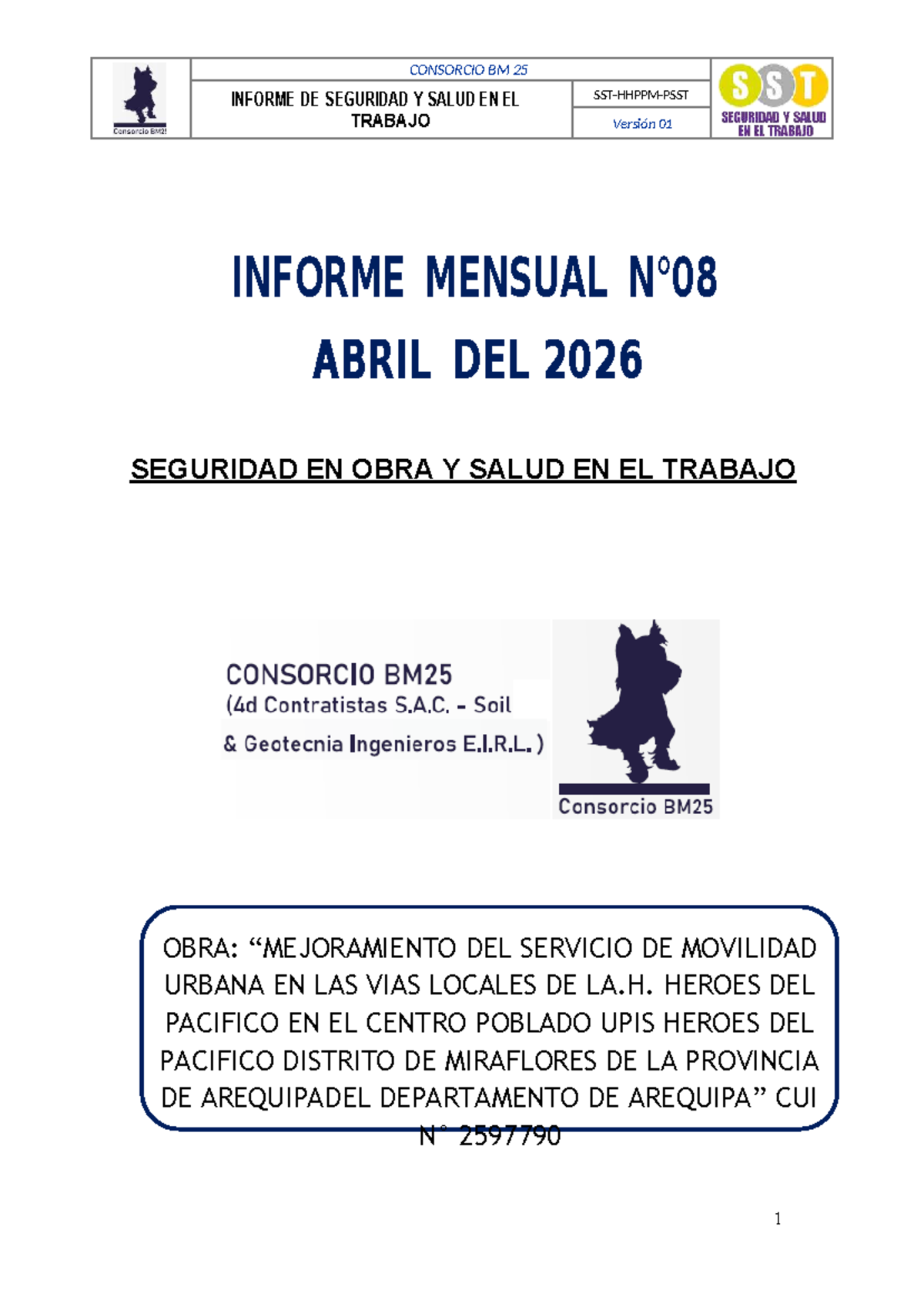 Informe Mensual de Seguridad y Salud en el Trabajo - CONSORCIO BM 25 ...