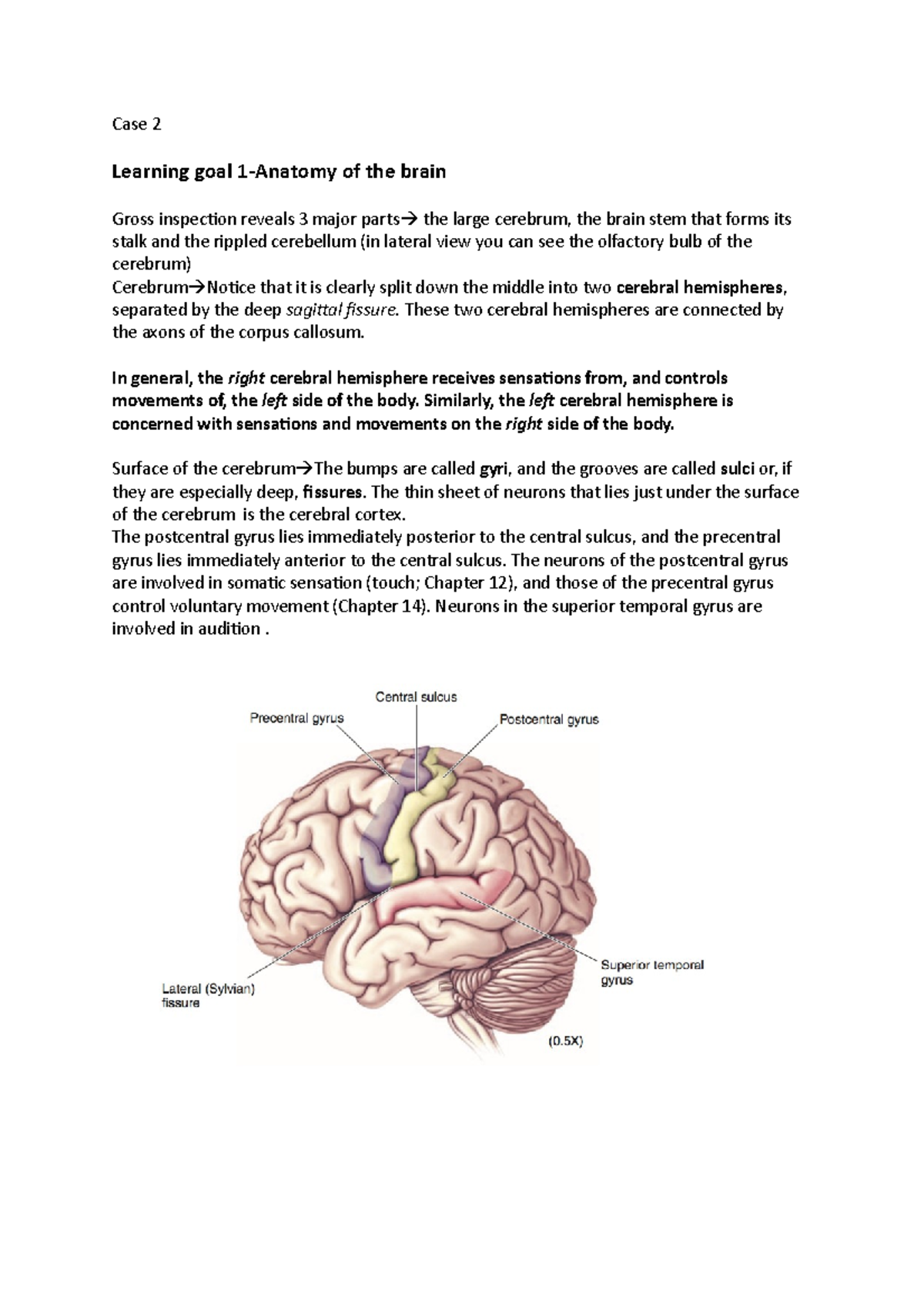 BBS1004 Case Study: Brain Structure and Functional Mapping Insights ...