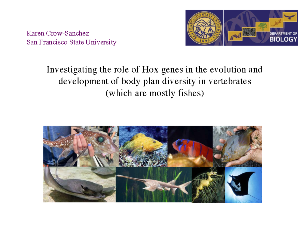 Evo Devo I 2025: Hox Genes and Body Plan Diversity in Vertebrates - Studocu