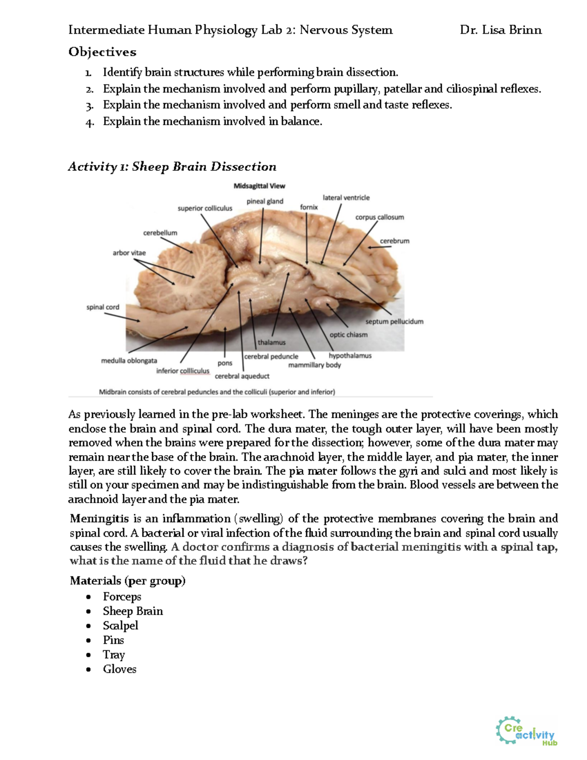 Lab 2: Nervous System Activities and Sheep Brain Dissection (INTM-104 ...