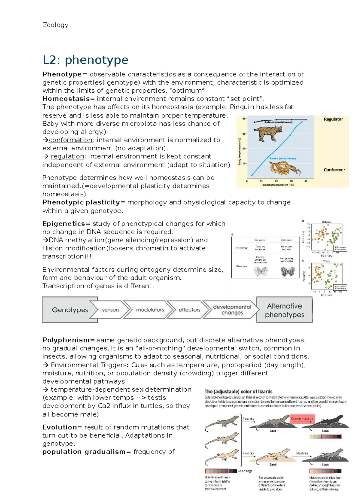 Zoology L2: Phenotypic Characteristics and Homeostasis in Organisms ...