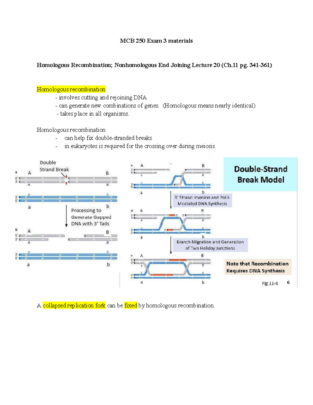 Copy of MCB 250 EXAM 3 Study Guide - MCB 250 Exam 3 materials ...