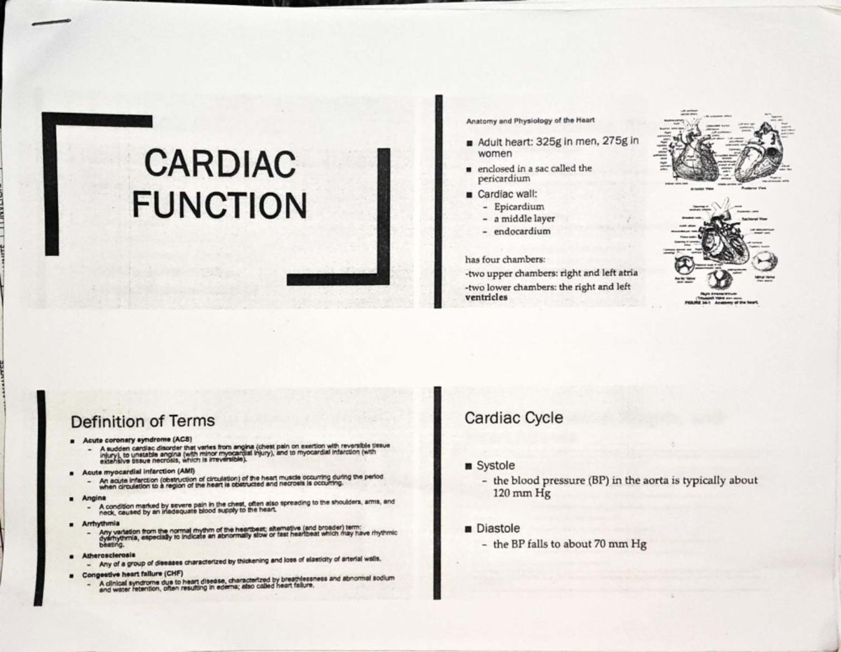 Anatomy and Physiology of the Heart: Key Concepts and Cardiac Disorders ...