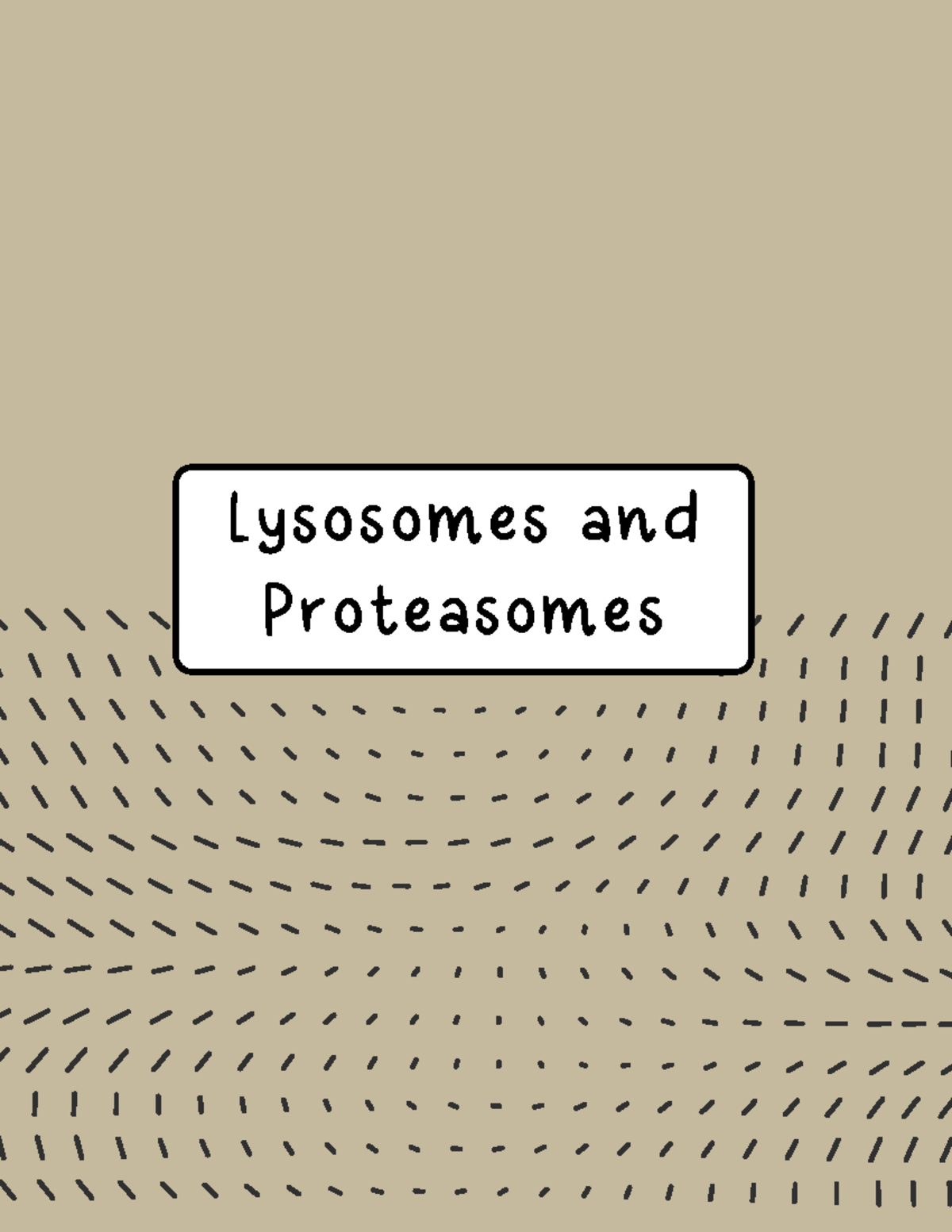 Exam 3: Content - In Class Notes + My Review - Biol 311 - Lysosomes and ...