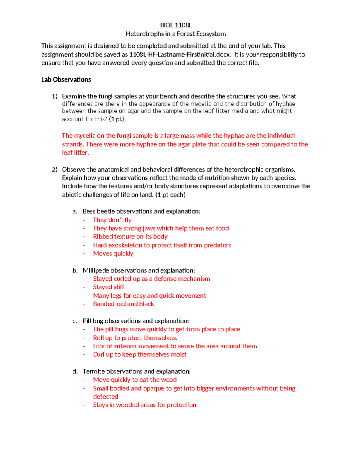 BIOL 1108L Lab Assignment: Heterotrophs in Forest Ecosystem ...