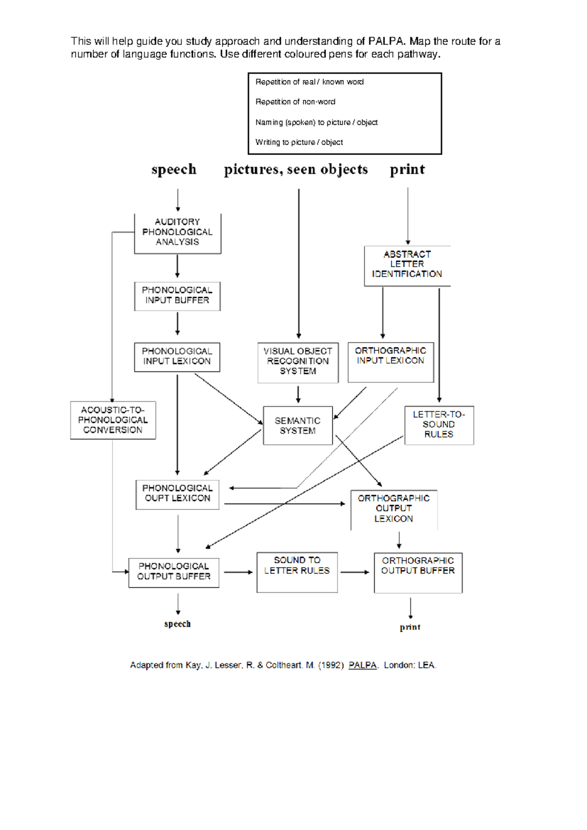 PALPA Route Mapping Study Notes for Language Functions - Studocu