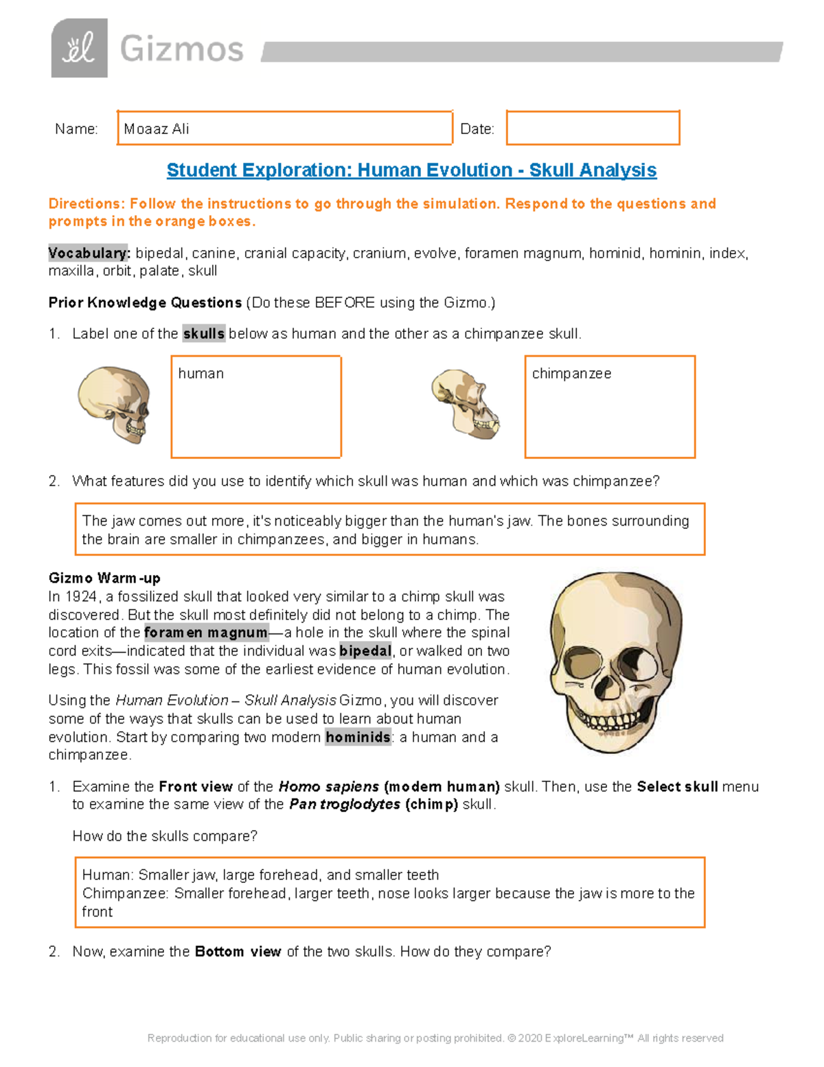 Gizmo - Human Evolution SE Student Notes - Name: Moaaz Ali Date ...