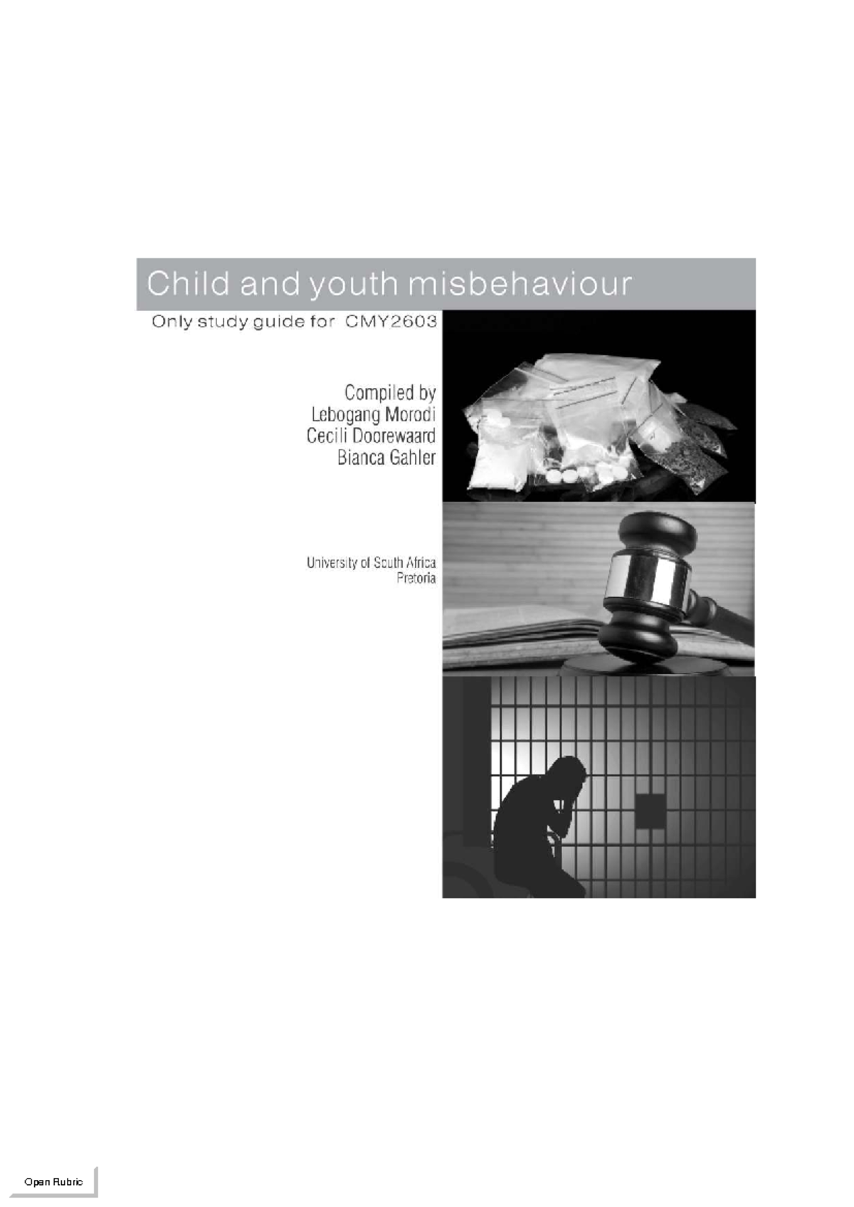 CMY2603 Study Guide: Understanding Youth Misbehaviour in South Africa ...