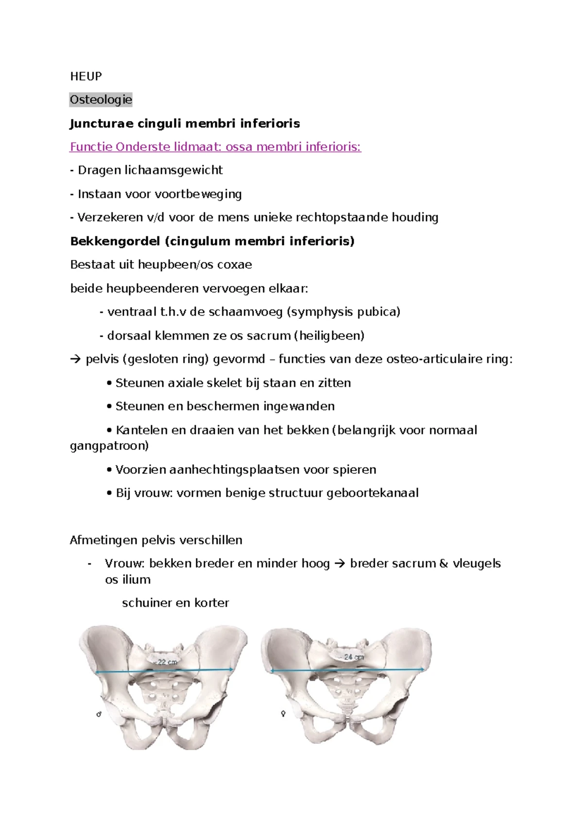 Functionele Anatomie Module 1 - Inleiding en Basisconcepten - Studocu