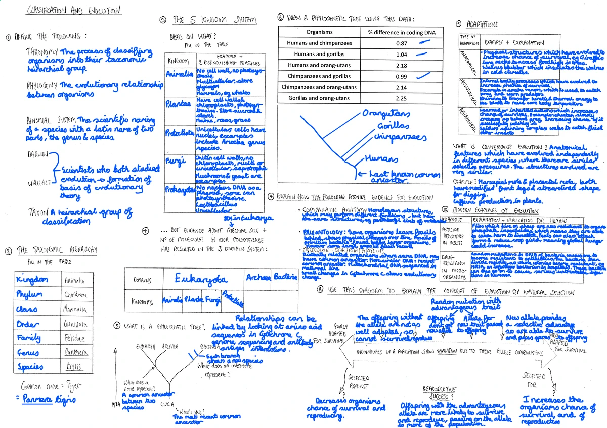 15. Communicable Diseases A3 Revision Notes for Immunology and ...