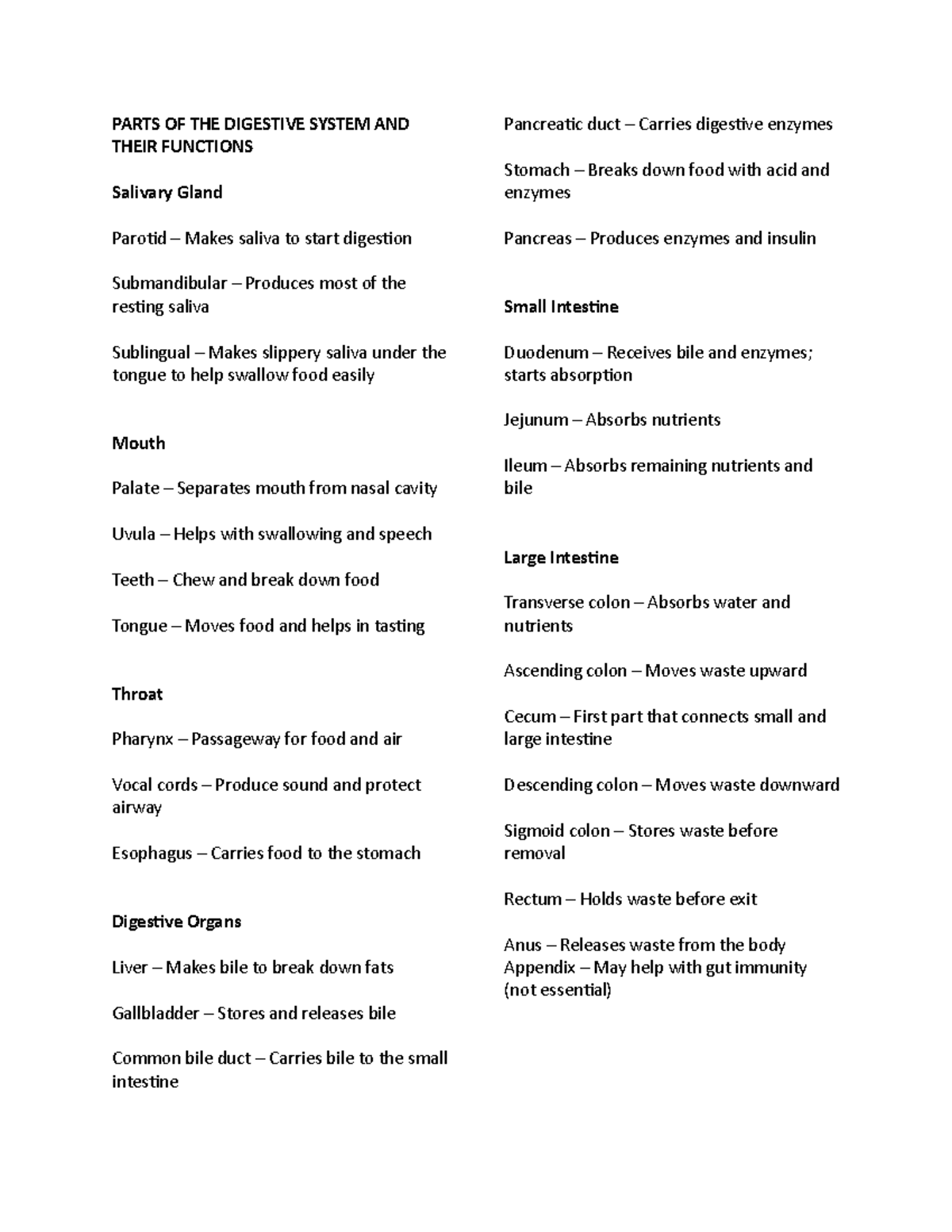 Functions of the Digestive System: Key Organs and Their Roles - Studocu