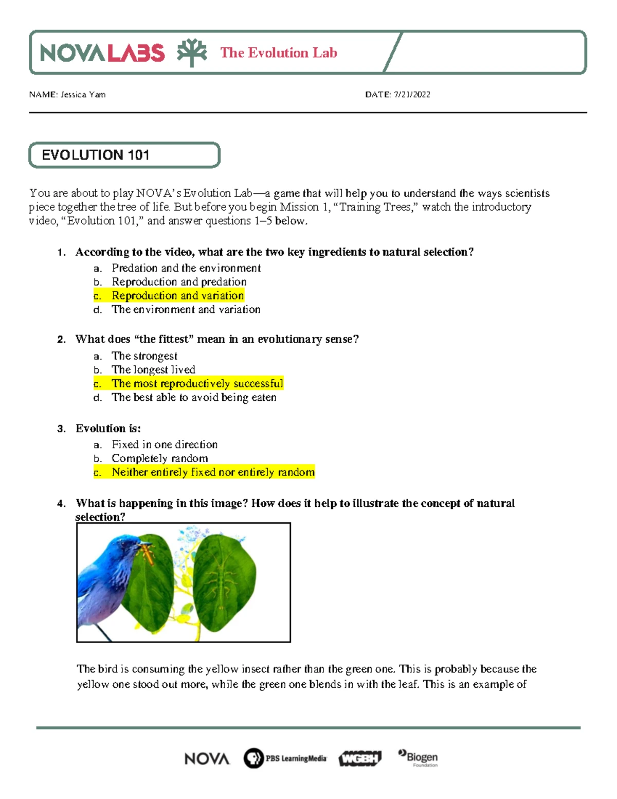 Mod 5 Photosynthesis Lab Worksheet and Animation Questions Guide - Studocu