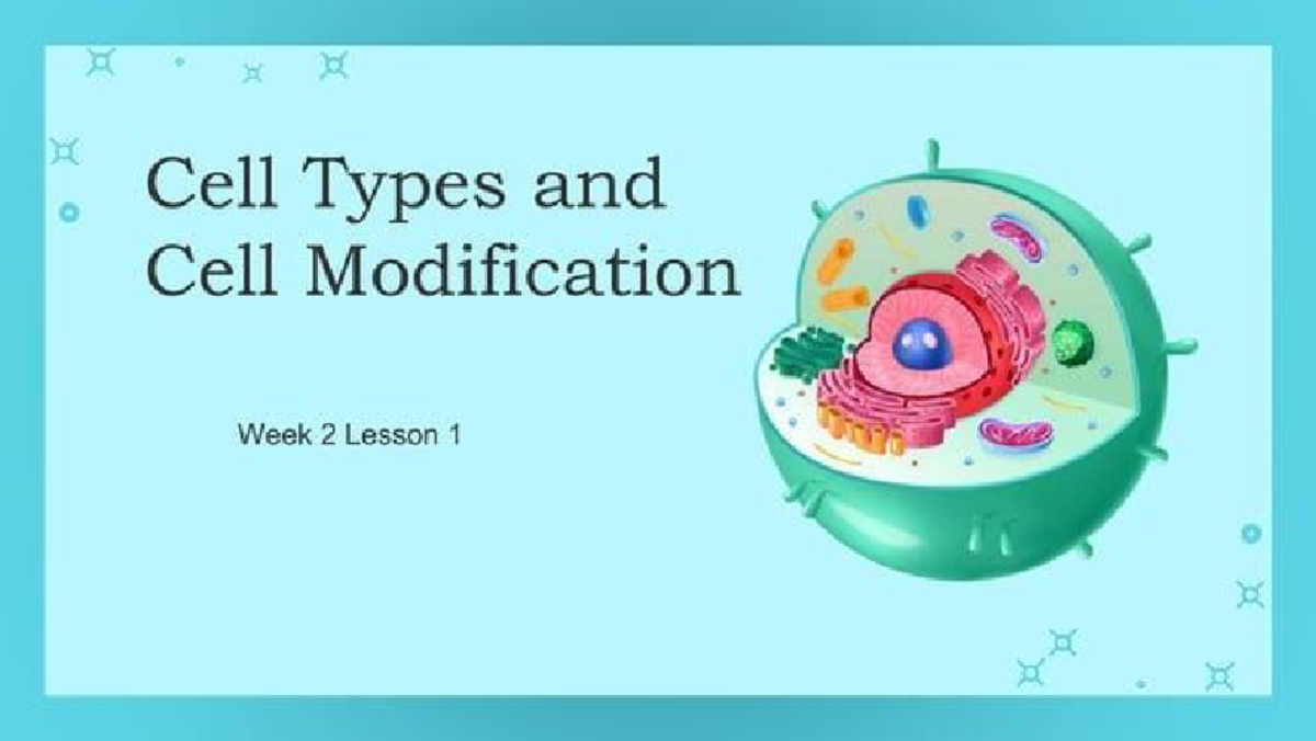 GEN.BIO.1 Week 2 Lesson 1: Prokaryotic & Eukaryotic Cell Types - Studocu