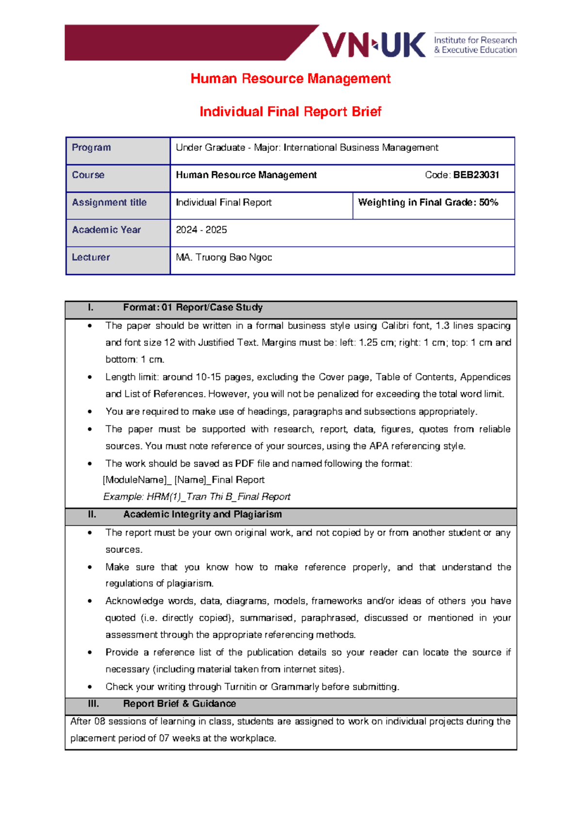 Individual-Report-Brief-2024-1 - Human Resource Management Individual ...