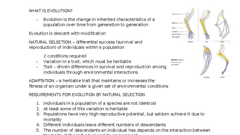 BS Ecology and Evolution: Understanding Natural Selection and ...