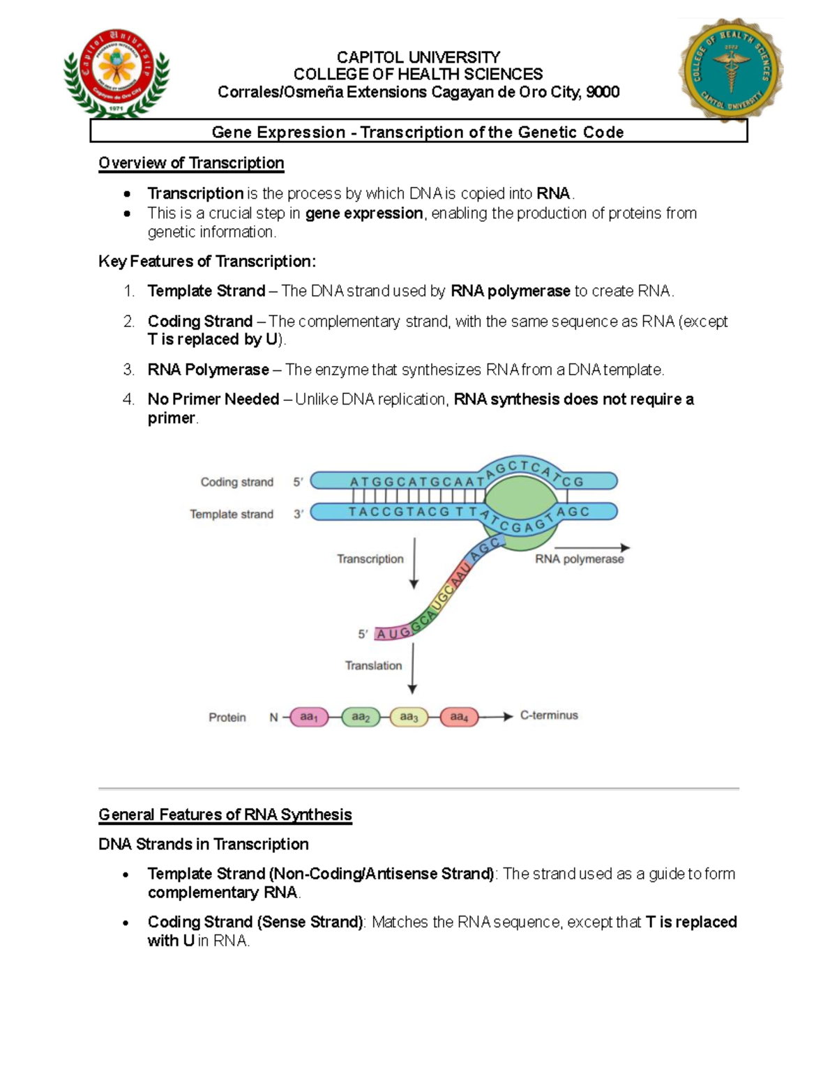 Gene Expression Overview: Transcription Mechanisms and Regulation - Studocu