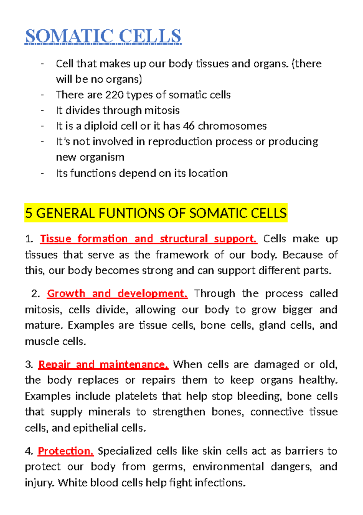 What Are Somatic Cells Produced By