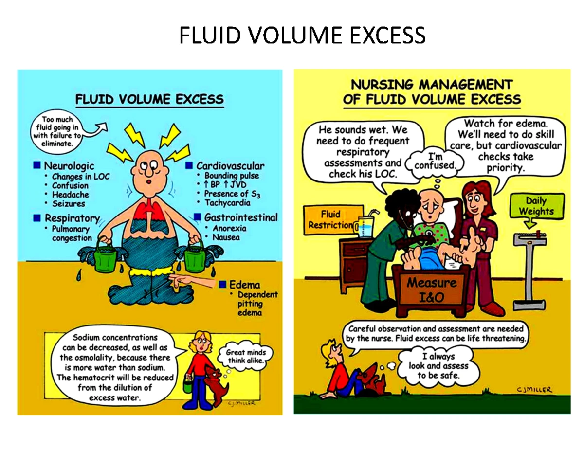 Document Analysis for Course XYZ: Vasopressors and Titration Guide ...