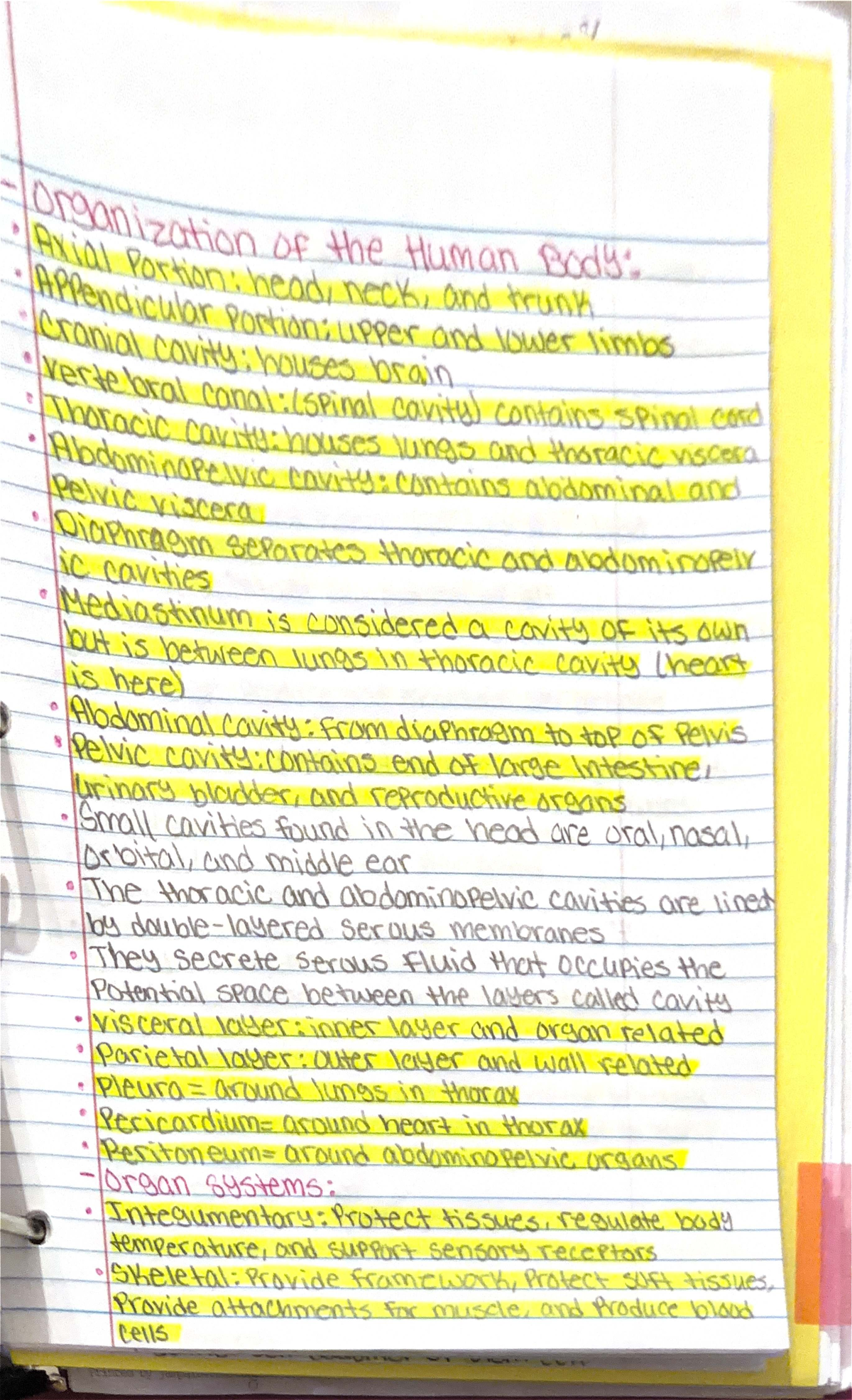 ANP 101 - Lecture Notes on Human Body Organization and Systems - Studocu