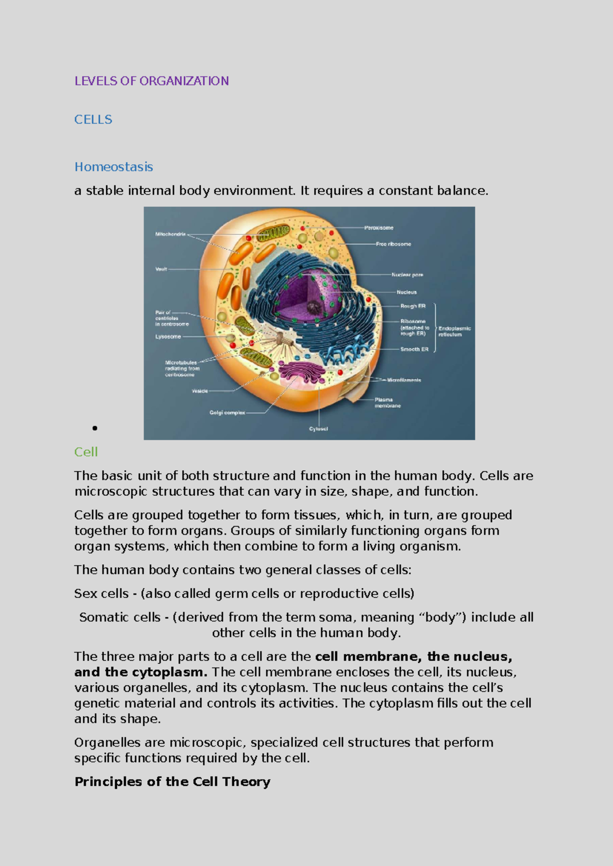 Levels of Organization in Cells: Homeostasis and Structure Functions ...