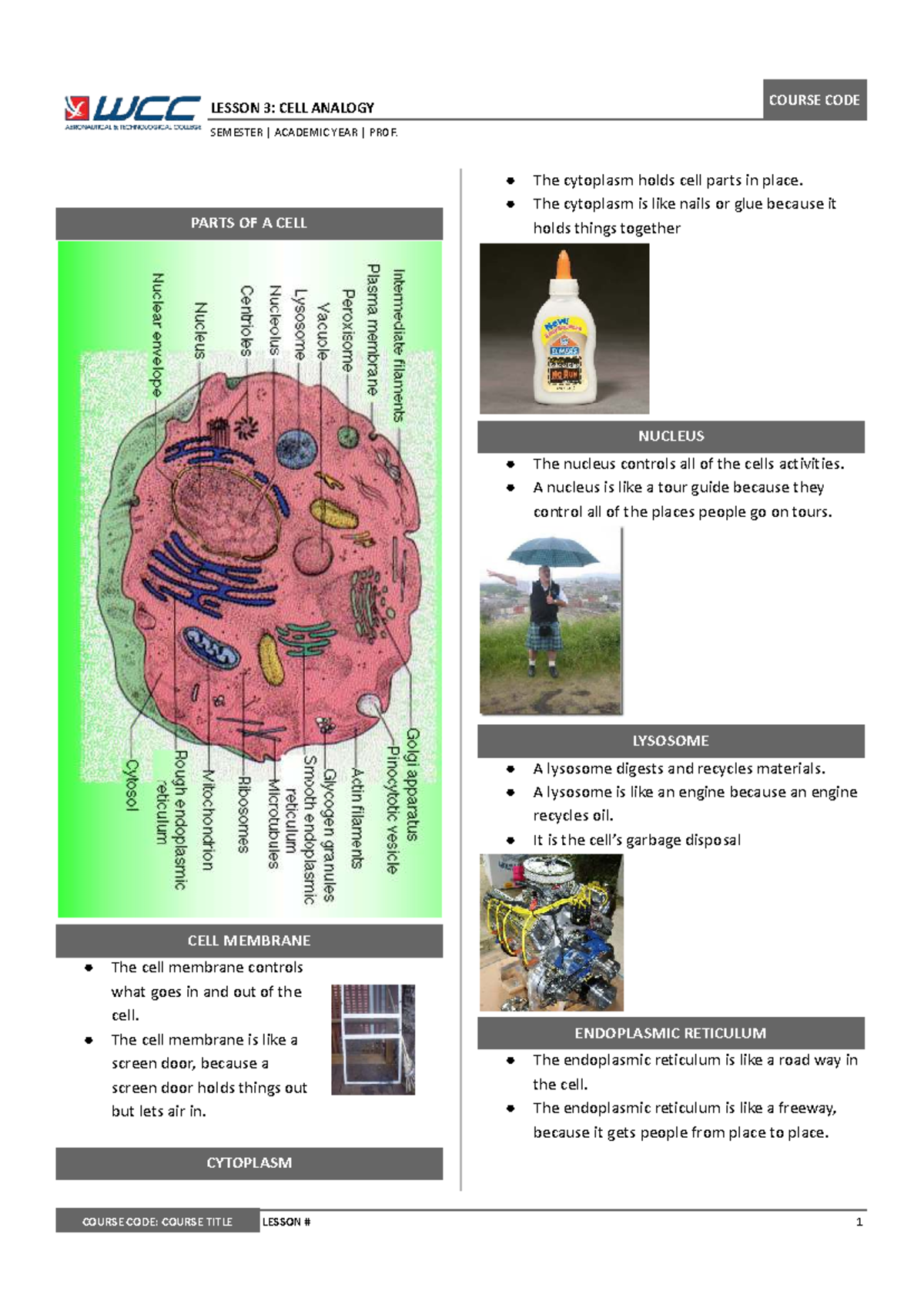 GEN-BIO Lesson 3: Cell Analogy and Functions - Studocu