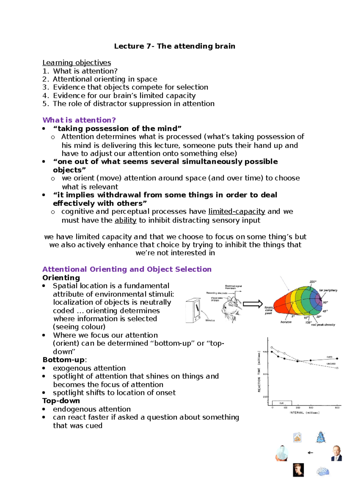 Lecture 7: The Attending Brain - Understanding Attention & Selection ...