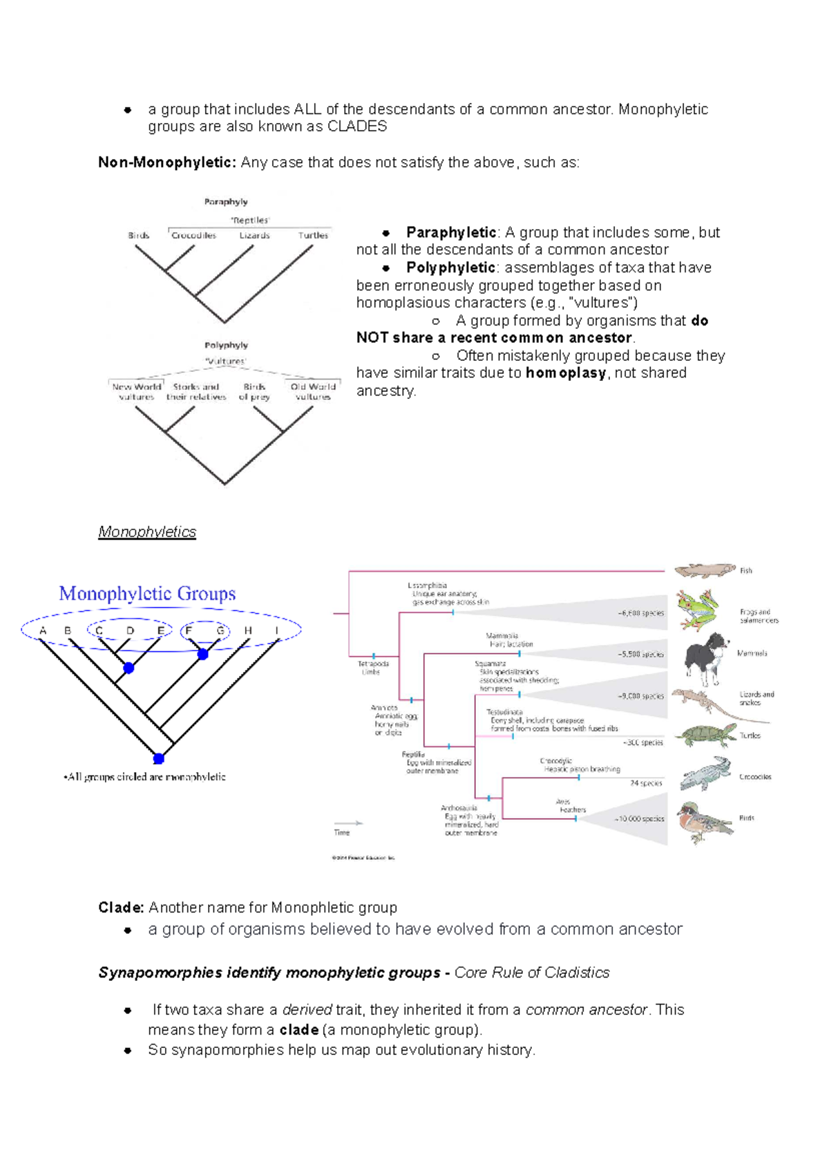 Topic 7: Understanding Monophyletic Groups and Clades in Phylogeny ...