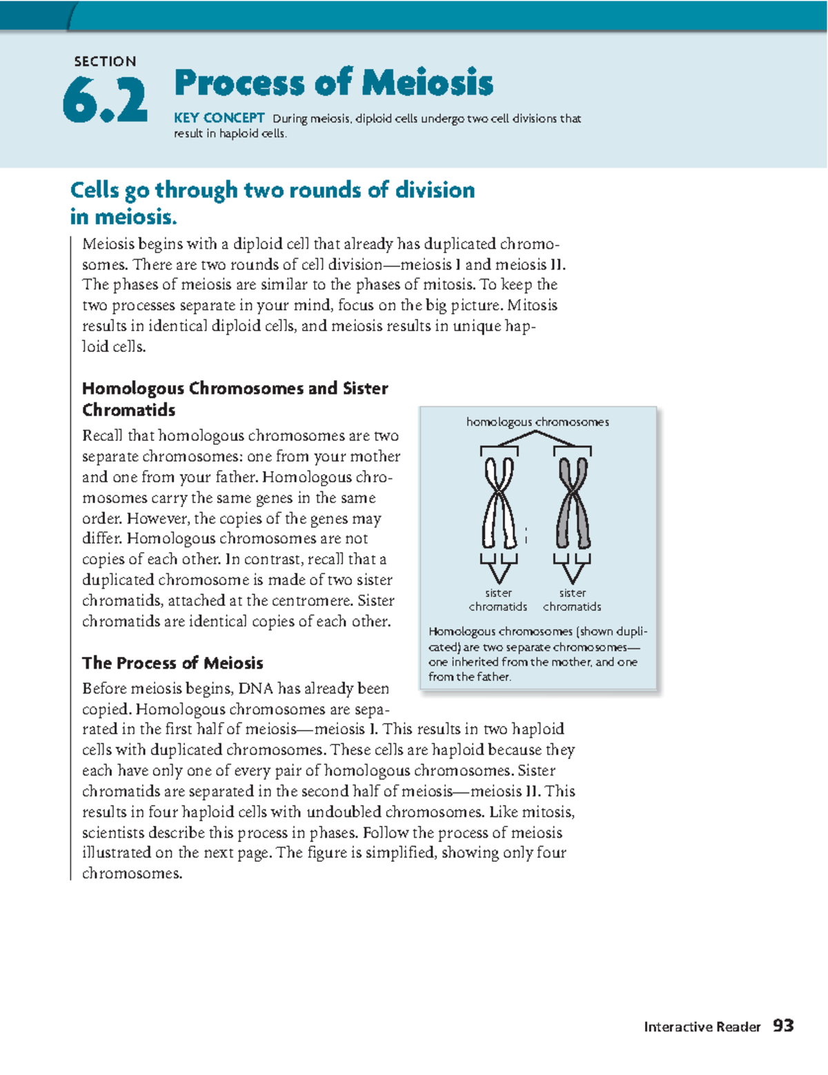 6.2 Meiosis: Overview of Cell Division and Chromosome Separation - Studocu