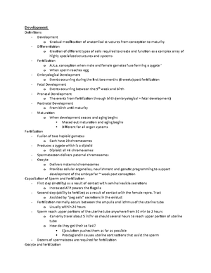 Final Exam Notes: Understanding the Human Urinary System (BIO101) - Studocu