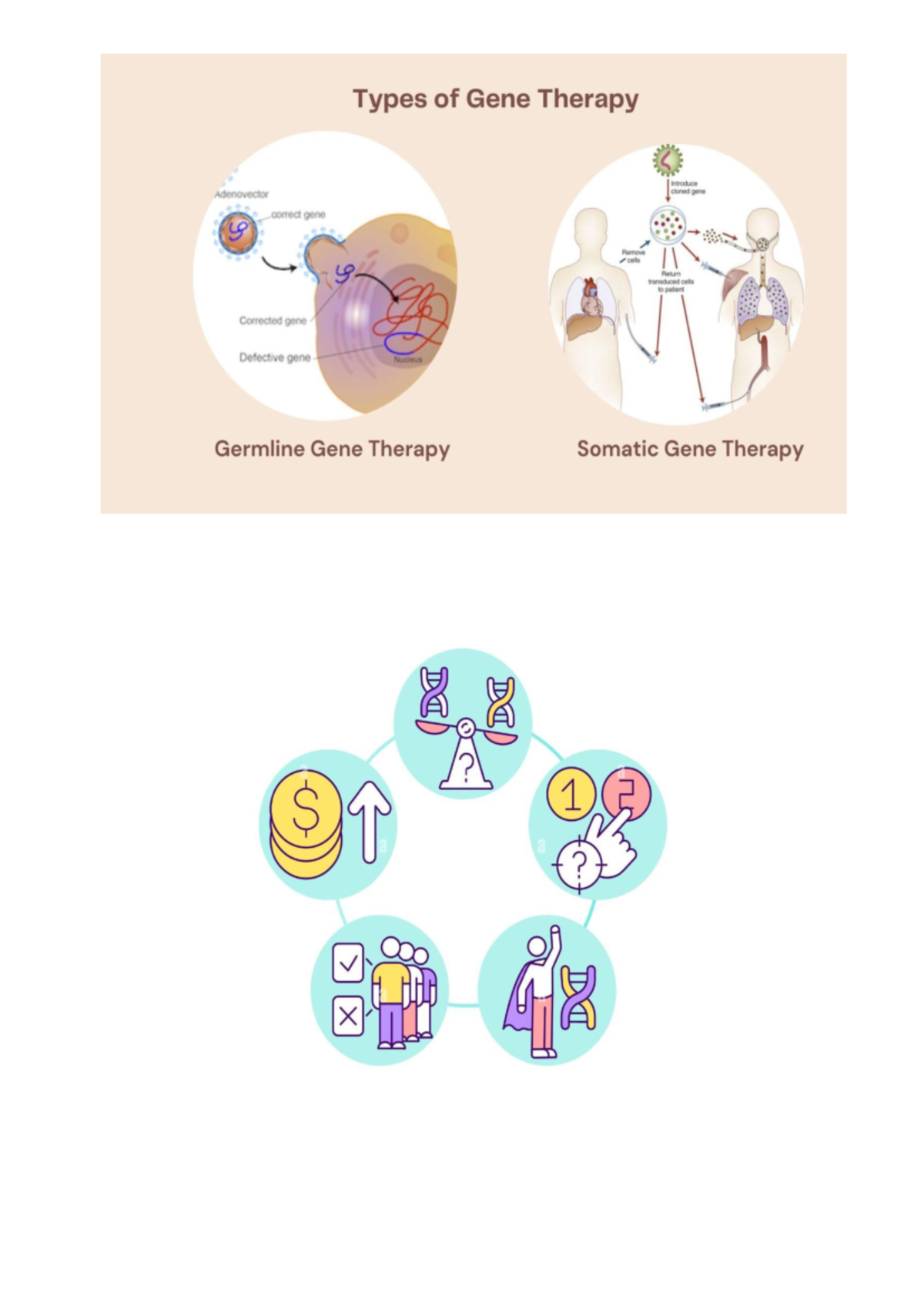 Gene Therapy Techniques in Biotechnology Project - Biotech 101 - Studocu