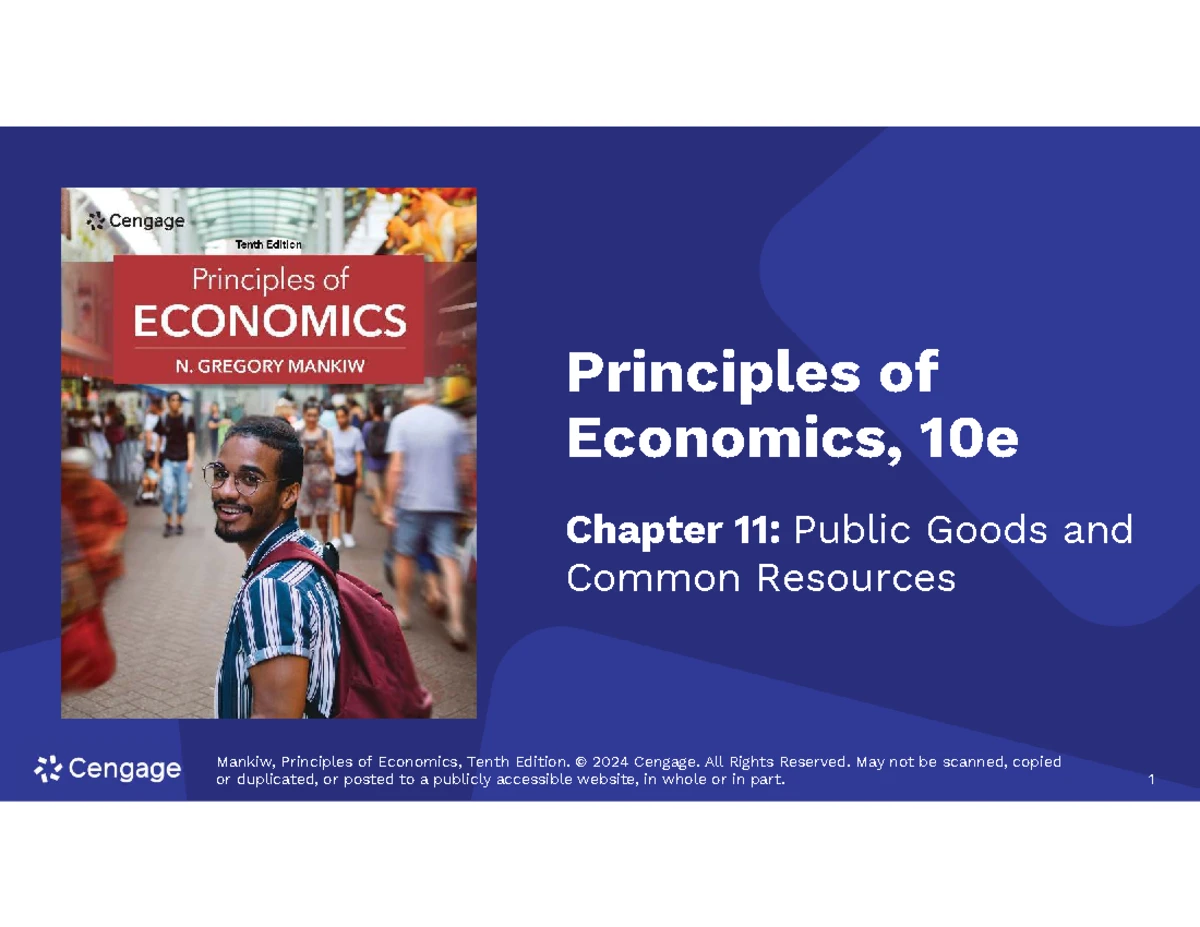 ECO203: Oligopoly and Market Strategies - Principles of Economics
