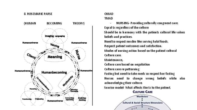 CA TFN Lecture Week 1: Nursing Theories Overview and Applications - Studocu