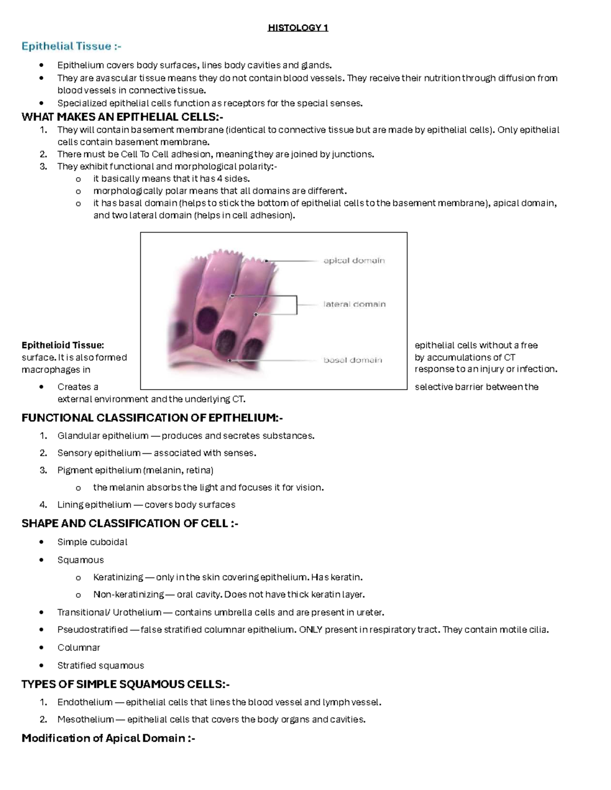 HISTOLOGY 1: Understanding Epithelial Tissue Structure and Function ...
