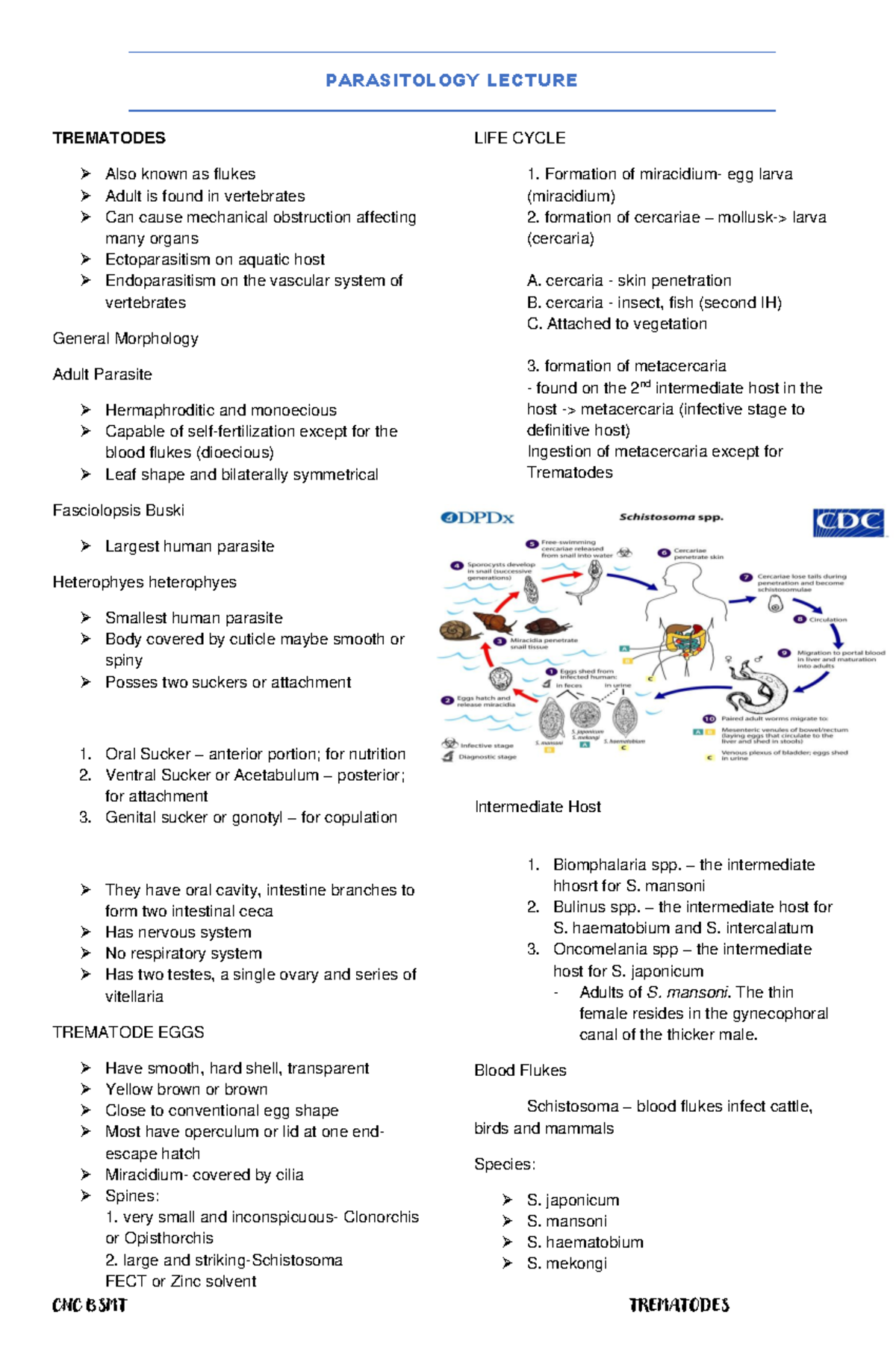 TREMATODES PARASITOLOGY MIDTERM LECTURE NOTES - Studocu