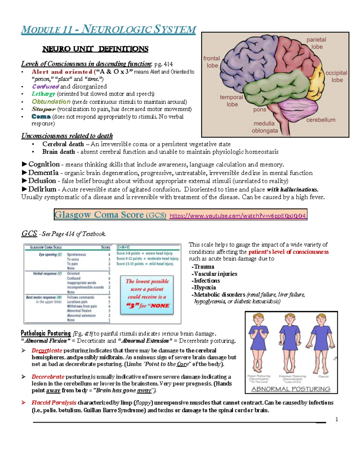 Patho Module 12: Reproductive System - Key Terms & Disorders Overview ...