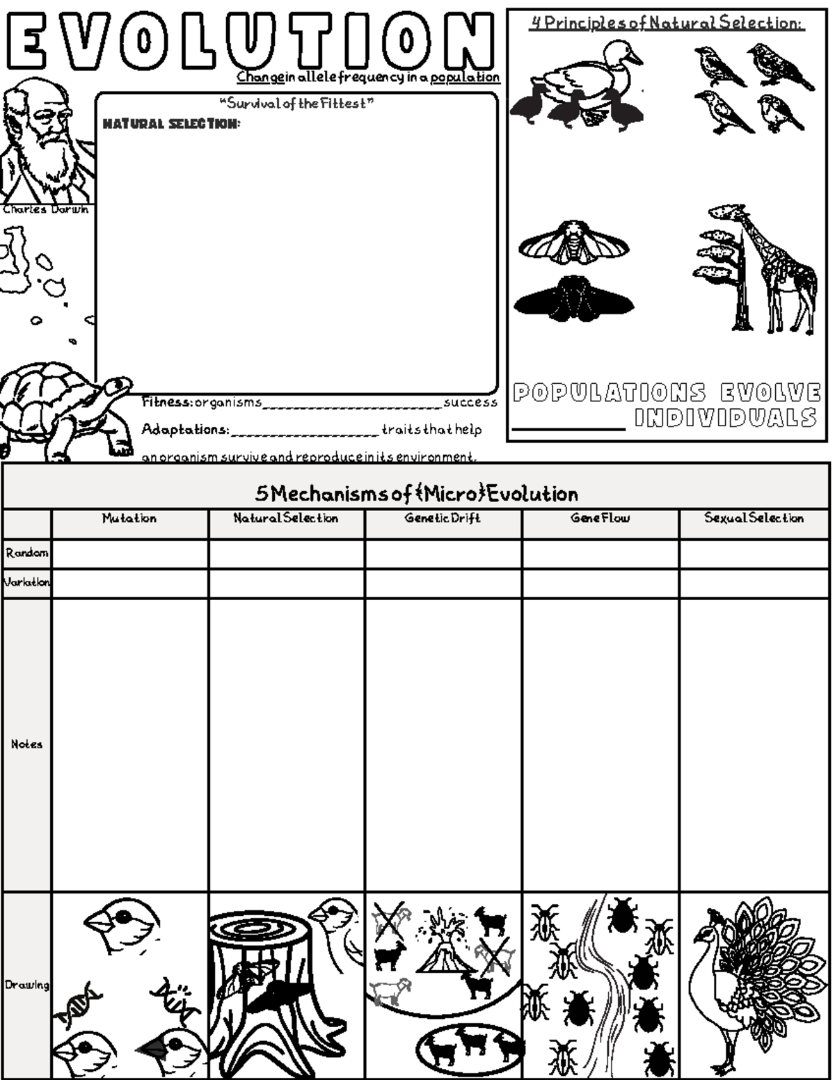 Evolution (WKEY-1): Guided Notes on Natural Selection Principles - Studocu
