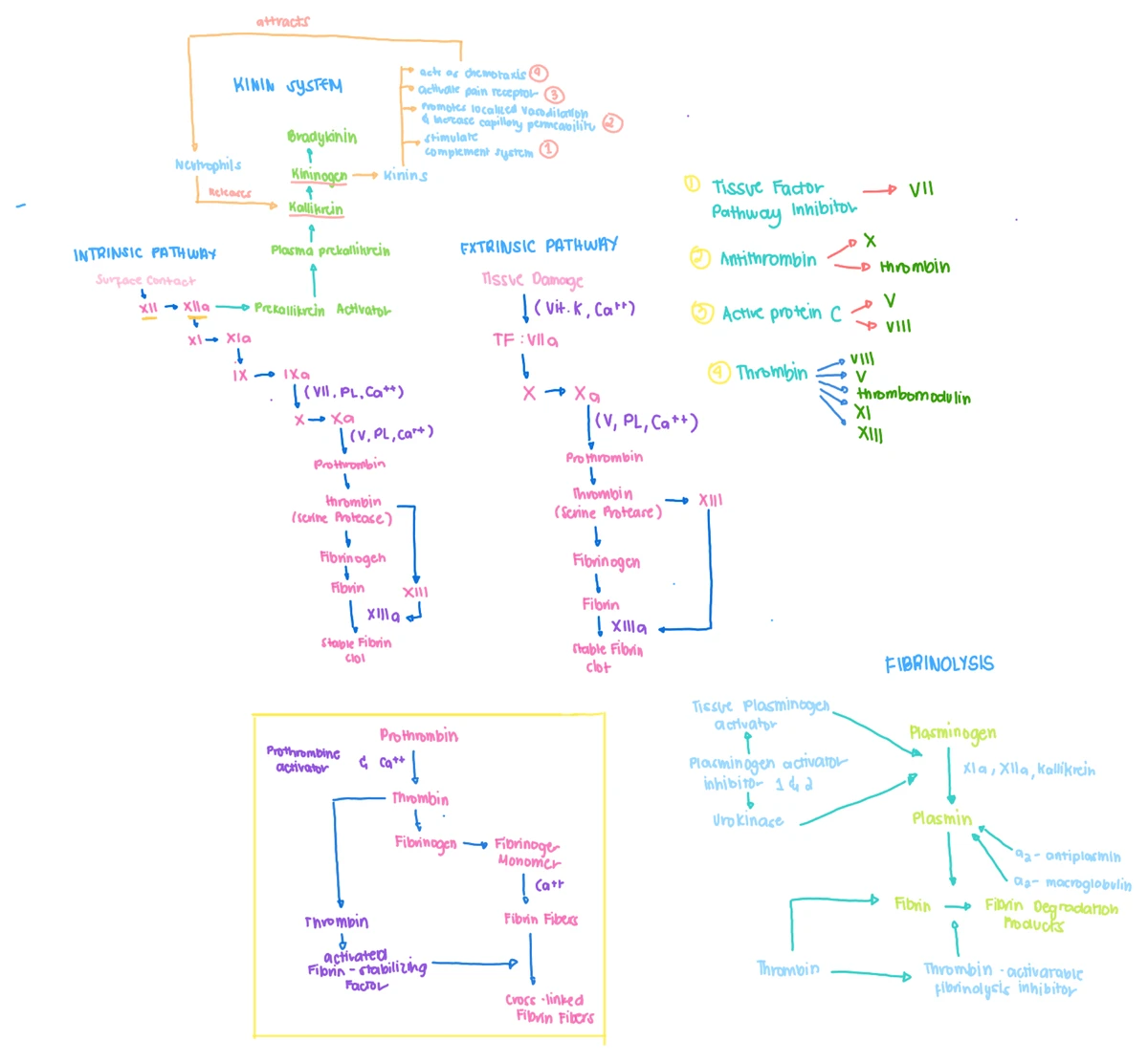 Mixing Study Notes: Prolonged aPTT and PT Analysis (PS) - Studocu