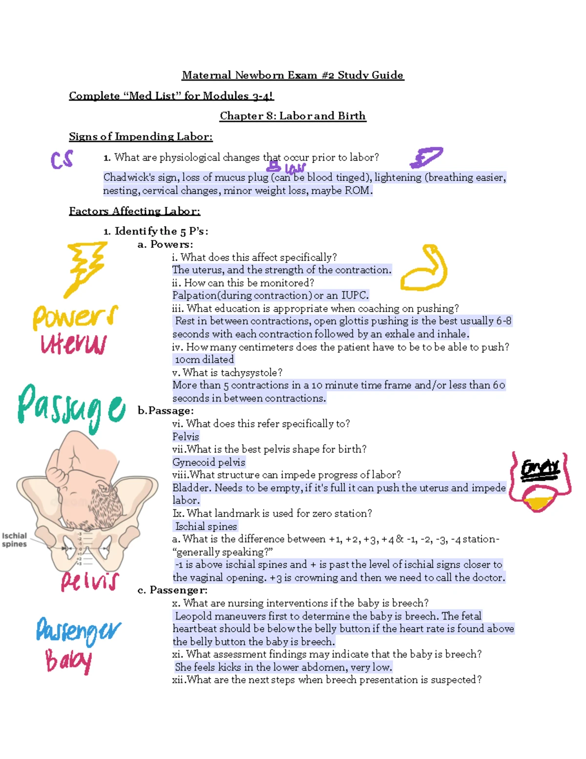 OB NUR Exam 2 Study Guide - Key Concepts and Interventions - Studocu