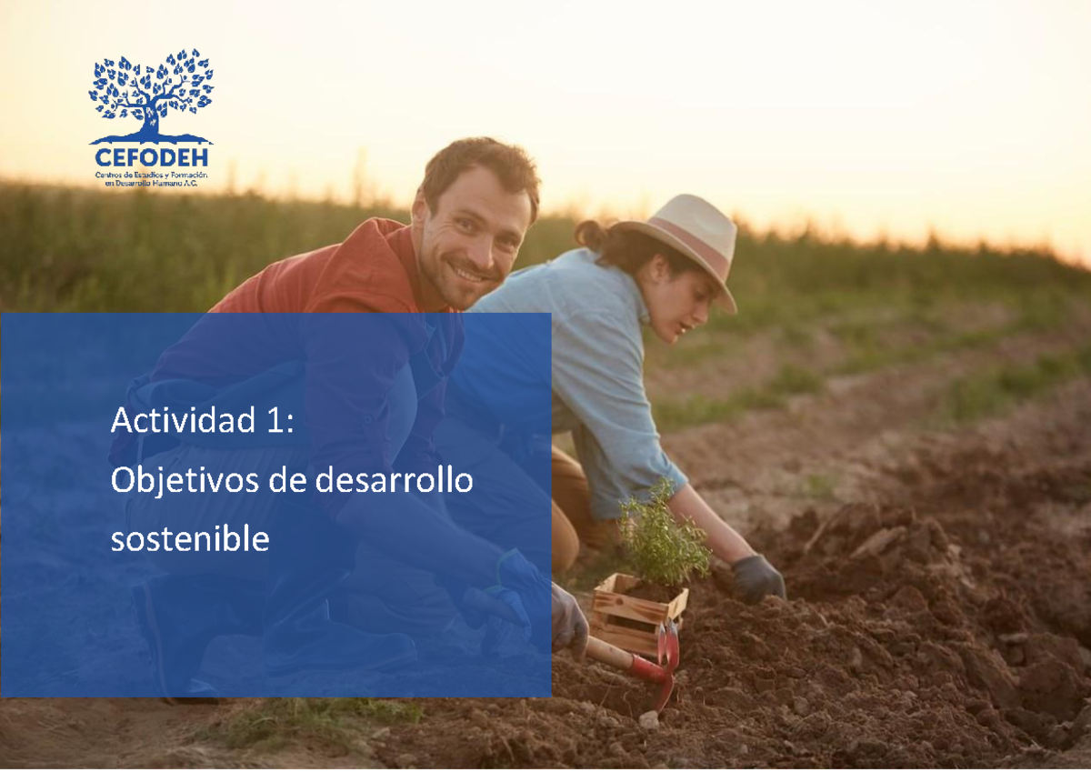 Actividad 1: Objetivos de Desarrollo Sostenible ODS 02 y ODS 05 - Studocu