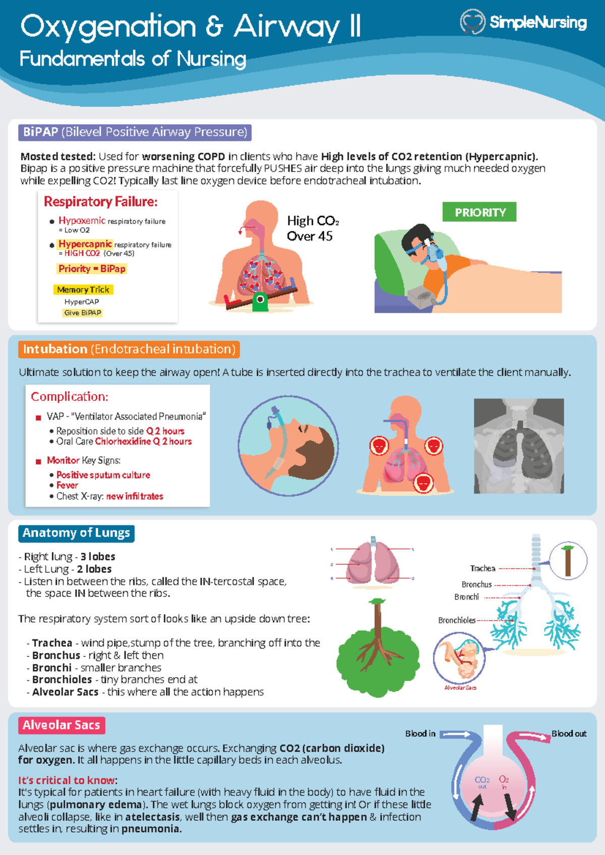 2 - BiPAP & Intubation: Key Concepts for Respiratory Nursing - Studocu