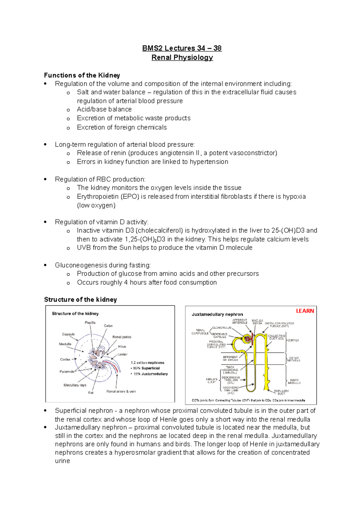 BMS2 Lecture Notes: Comprehensive Overview of Renal Physiology - Studocu