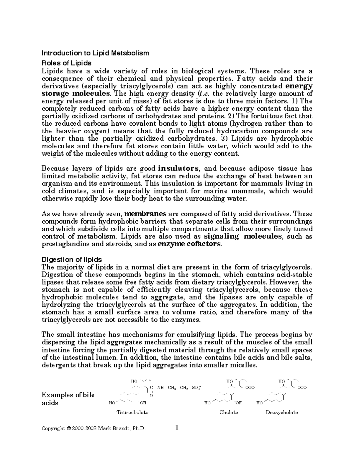 Lipid Metabolism Overview - Intro Notes - Dr Seipati - Studocu
