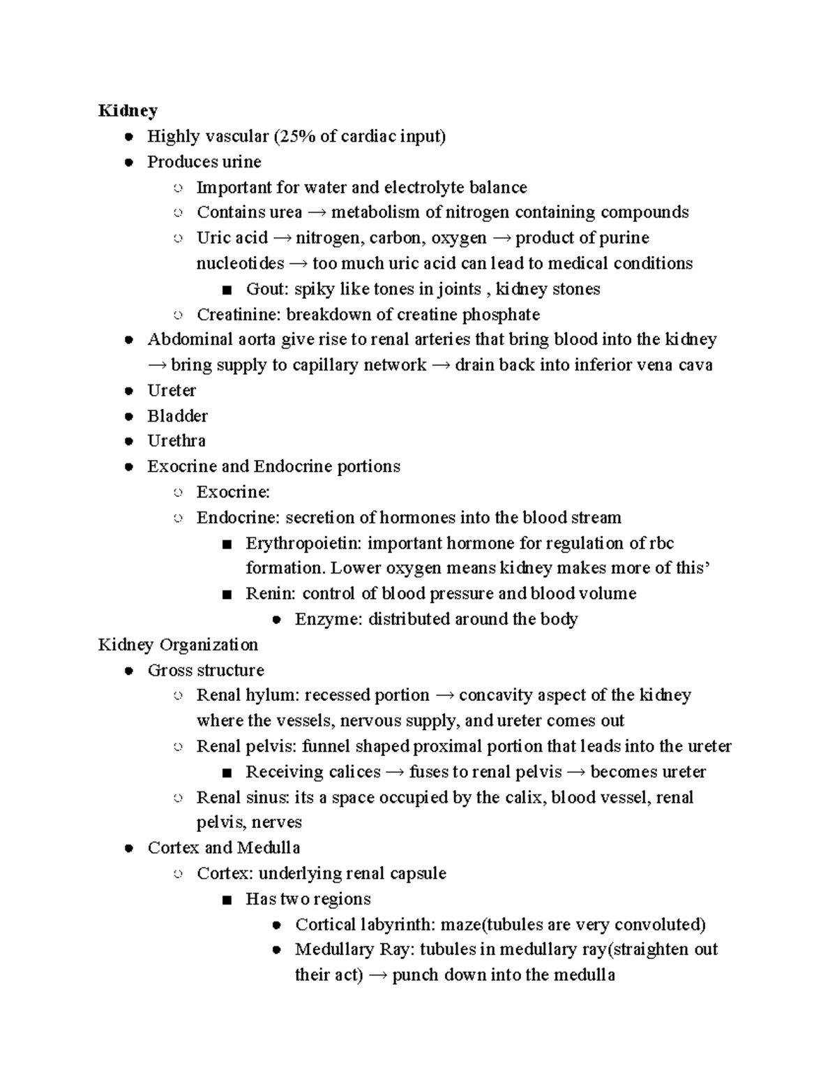 Urinary System Overview (BIO 101) - Key Functions & Structures - Studocu