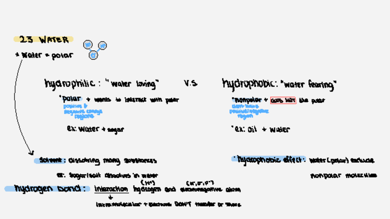 Bio 23 - Chapter 2 Notes on Water Properties and Interactions - Studocu