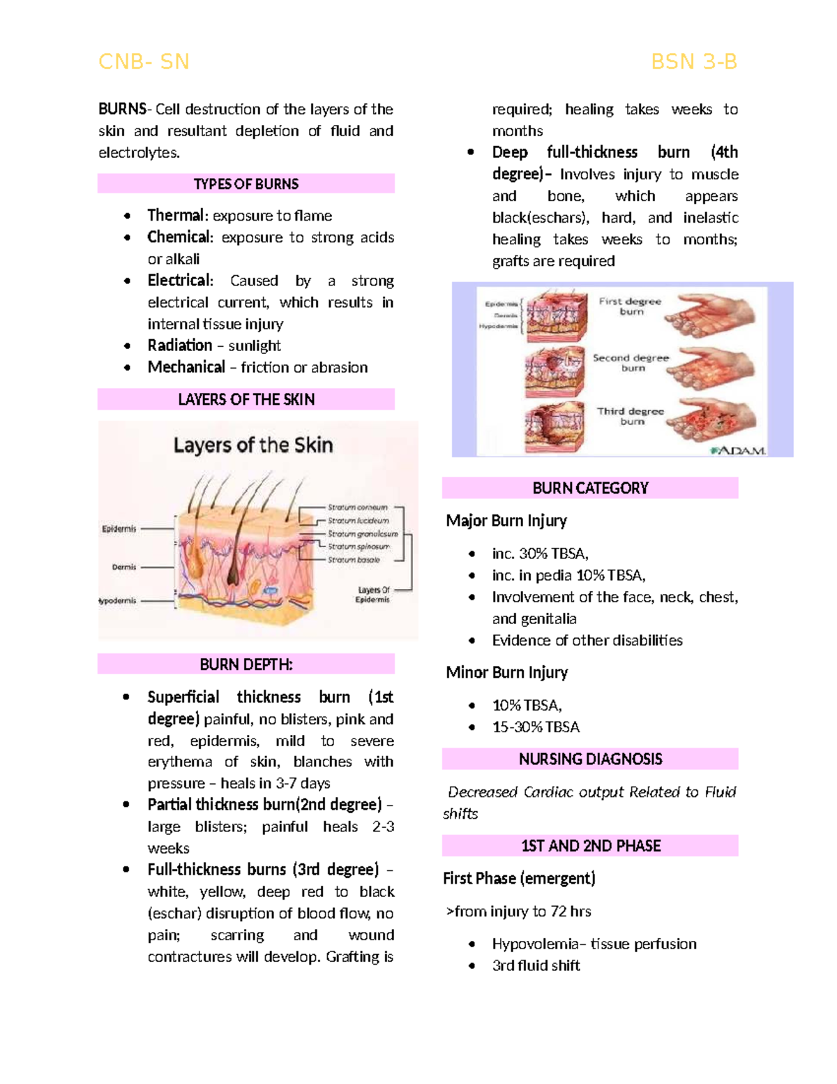 SN BSN Comprehensive Review of Burn Types and Management Strategies ...