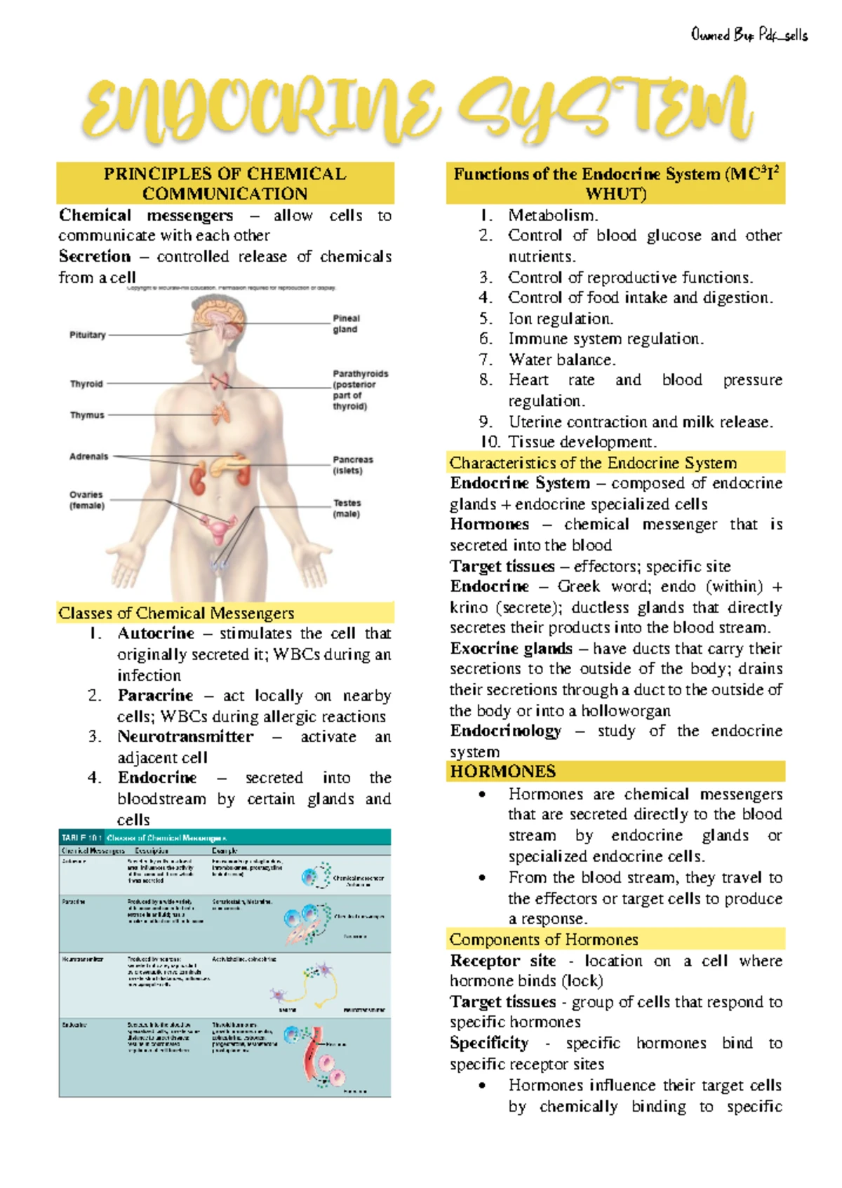 Endocrine System Overview Key Concepts And Functions Bio 101 Studocu