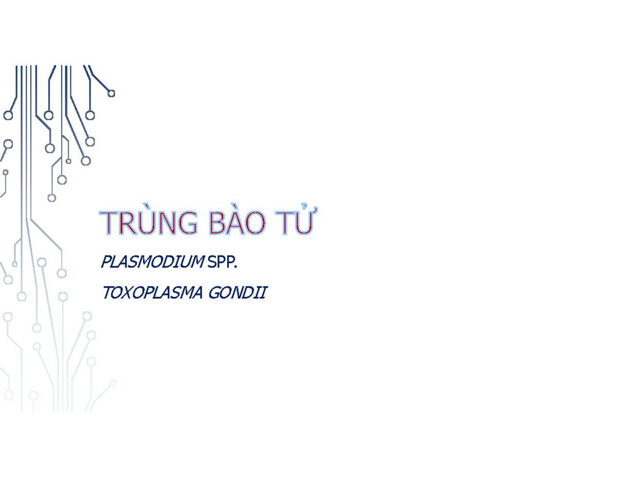 Trùng bào tử: Plasmodium và Toxoplasma trong bệnh sốt rét - Studocu