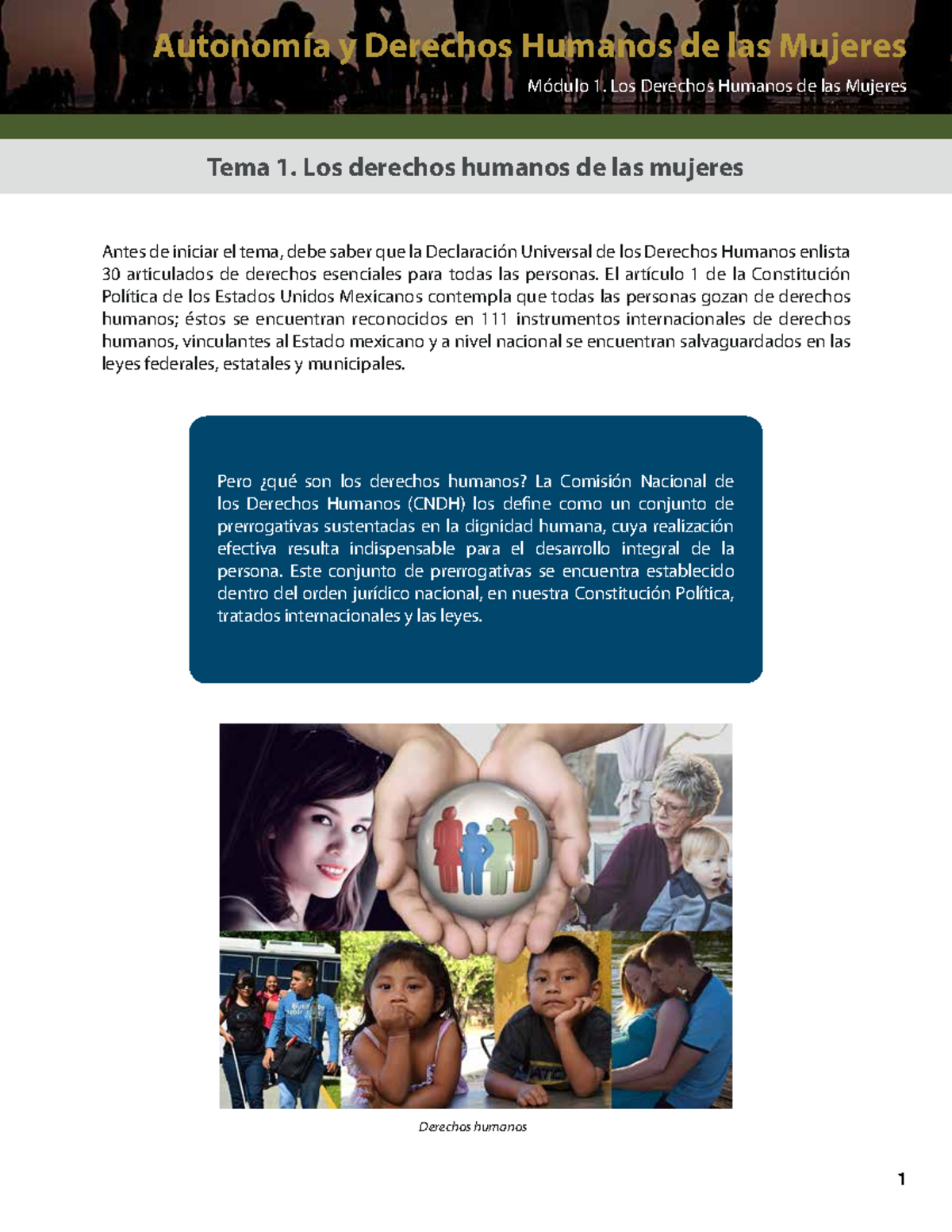 Derechos Humanos de las Mujeres - Autonomía y Principios Básicos (Mód ...