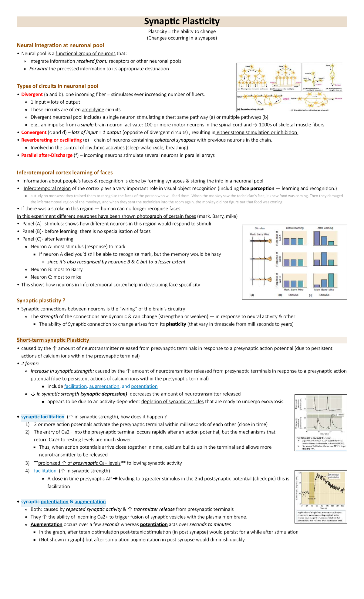 06. Synaptic Plasticity: Understanding Changes in Neuronal Circuits ...